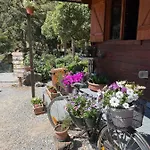 Agricamping Le Terrazze Camping *