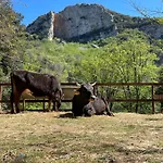 Agricamping Le Terrazze Camping