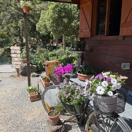 Agricamping Le Terrazze Campsite *