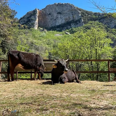 Agricamping Le Terrazze Campeggio