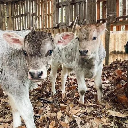 Kemping Agricamping Le Terrazze