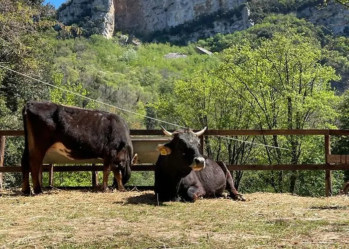 Agricamping Le Terrazze Campeggio